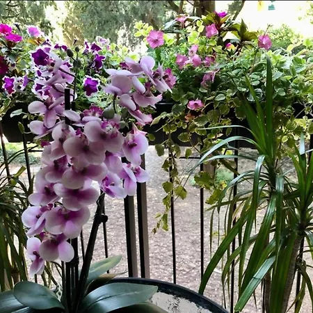 Villa Alba Residence Garda Lake דירה